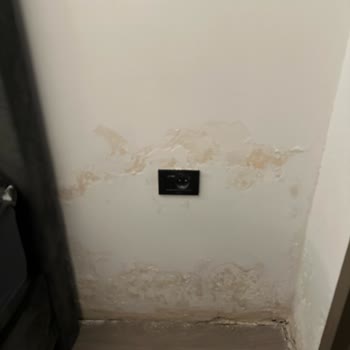 Folkart Yapı Nem Koku İlgisizlik