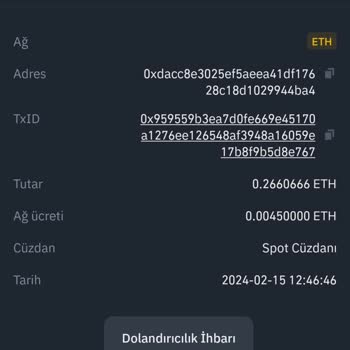 Binance Hesabı Hatası İle Paralarım Çalındı