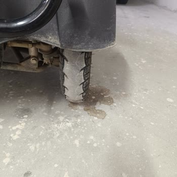 Regal Raptor Lastiklerin İzleri Silindi