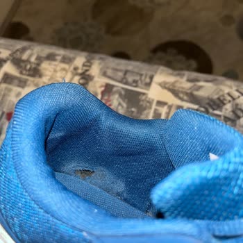 Puma İnceleme'nin Uzun Sürmesi
