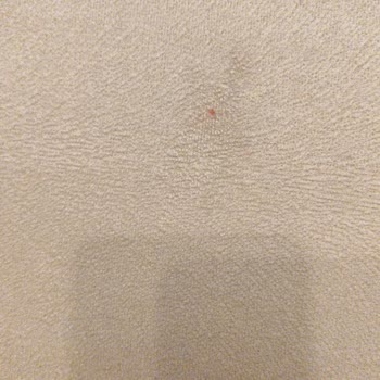 Öykü Halı Yıkama Koltuk Lekeleri Çıkaramayan Ödemeyi Alan Firma