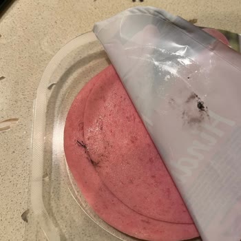 Namet Marka Almış Olduğum Salam