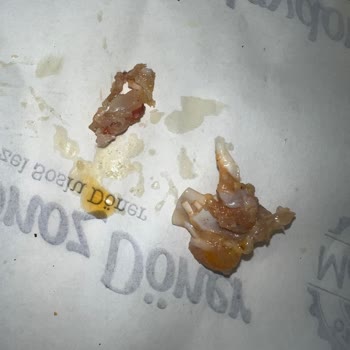 Maydonoz Döner Tavuk Döner Hayal Kırıklığı Ve Restoranın Tatsız Tavrı