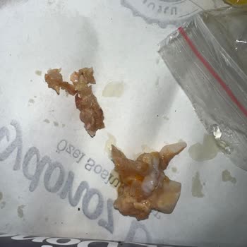 Maydonoz Döner Tavuk Döner Hayal Kırıklığı Ve Restoranın Tatsız Tavrı