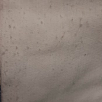 Penti Duyarsızlığı Ve Yetersizliği