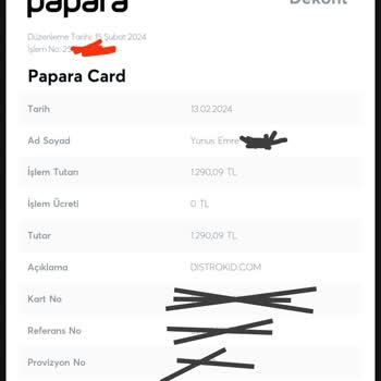 Distrokid Üyelik Satın Aldım Fakat Gelmedi.