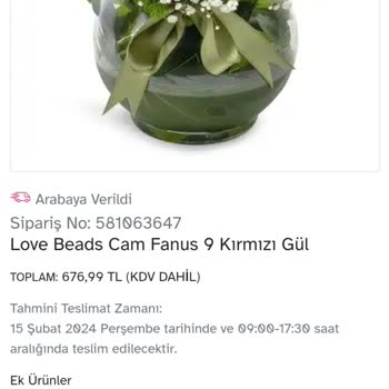 Osevio.com Teslim Edilme Sorunu