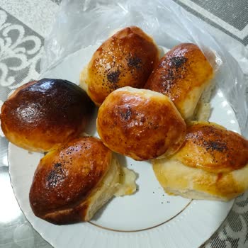 Bosch Ankastre Fırın Pişmanlığı