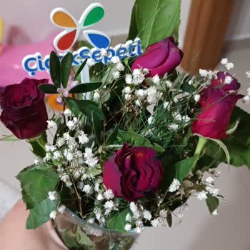 Çiçek Sepeti Tarafında Elime Ulaşan Kokmuş Çiçekler Bıktım.