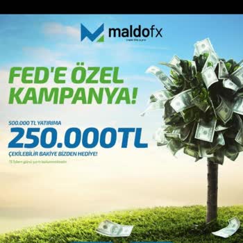 Maldo Fx Para Çekimi