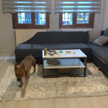 Marmara Halı Yıkama Yeni Halımın Yangında Zarar Görmesi Ve Hizmetsizlik