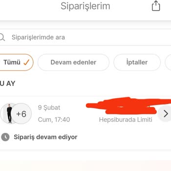 Sürat Kargo'nun Sorumsuzluğu, Kargoların Aksaması,