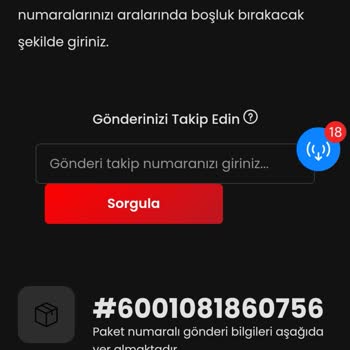 PTS Kargo Nike Sitesinden Alışveriş Yaptım