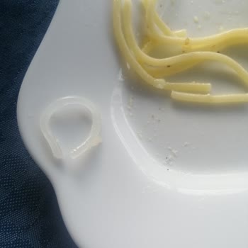 Pastavilla Dan Şikayetim Var