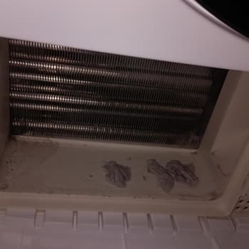 Vestel Kurutma Makinesi Km