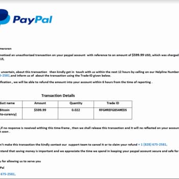 PayPal Ödeme Maili Sorunu