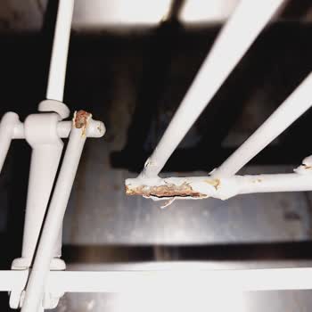 Arçelik 6231 Bulaşık Makinesi Alt Sepet Paslandı