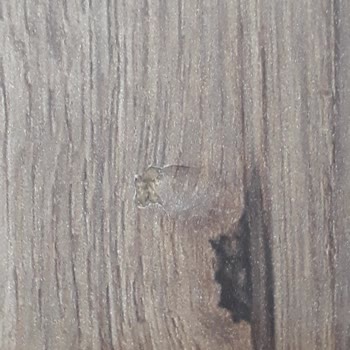 Kelebek Mobilya Kelebek Mobiya Hatalı Ürün Kurulumu Yapıyor.