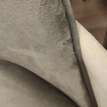 Mondi Koltuk Takımının Kusurlu Gelmesi