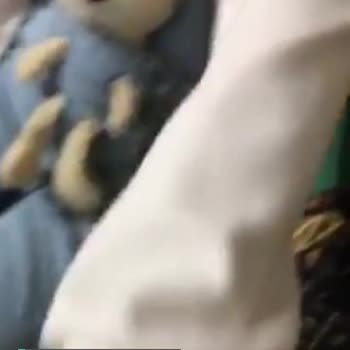 LCW Kıyafeti İlk Günden Tüylendi