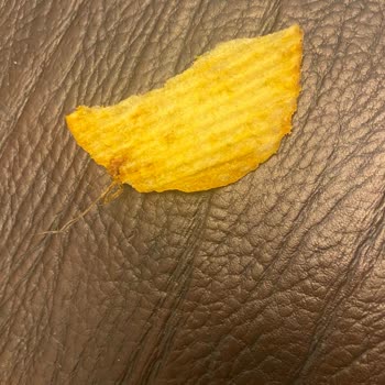 Ruffles Cipsten Yabancı Cisim Çıkması