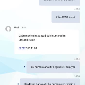 Pulibet Okumasan Deli Olursun Güvenme