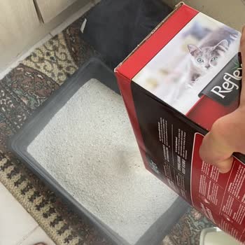 ReflexMama Reflex Marka Kedi Kumu