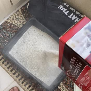 ReflexMama Reflex Marka Kedi Kumu