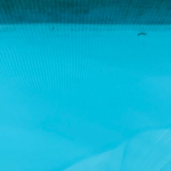 S'more Sapanca Glamping Hotel Havuzda Kurt Sorunu