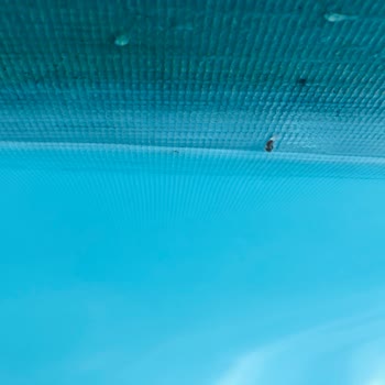 S'more Sapanca Glamping Hotel Havuzda Kurt Sorunu