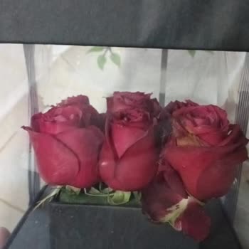 Çiçek Sepeti Görselden Farklı Gelen Ürün