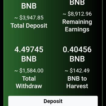 Bnb Daily Finance Neden İşlem Yapamıyorum?