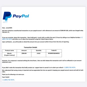 PayPal Gönderilen Mail Hakkında