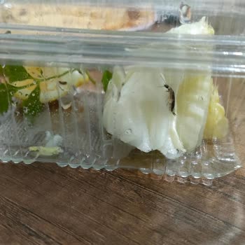 Komagene Çiğköfte, Göbek Salata Paketi İçinden Çıkan Siyah Böcek