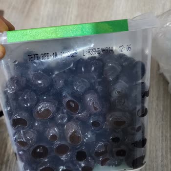 Tukaş Zeytini Yenilecek Gibi Değil
