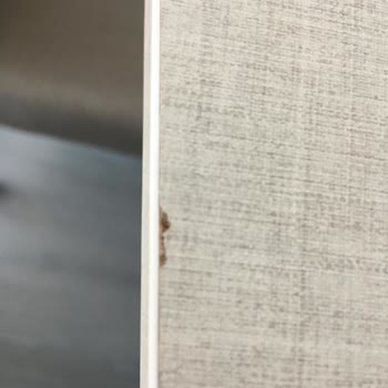 Bellona Valencia Masa Ve İlgisizlik