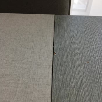 Bellona Valencia Masa Ve İlgisizlik