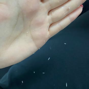 Yves Rocher Sebo Pure Vegetal Kremin Silgi Gibi Dökülmesi