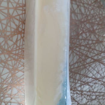 Küflenmiş Yörükoğlu Kaşar Peyniri