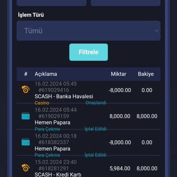 Ruisbet'te Kaybolan 8 Bin Tl Ve Destek Sorunu