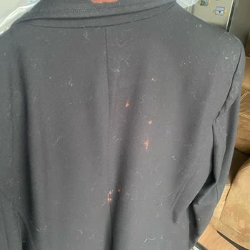 Networkdry Kuru Temizleme Mağduriyeti