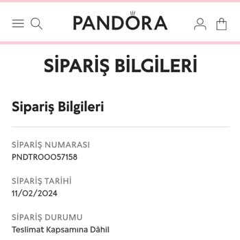 Pandora Mücevher Pandora Kargo Sorunu