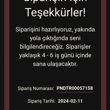 Pandora Mücevher Pandora Kargo Sorunu