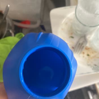 Finish Sıvı Deterjan Boş