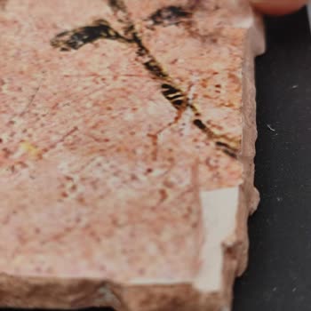 Arkeopera Kitabevi Kırık Ürün Ve Baskısı Kalkmış Resim