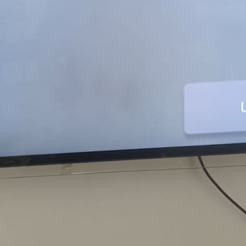 Sunny Televizyonumun Pişmanlığı Yaşıyorum