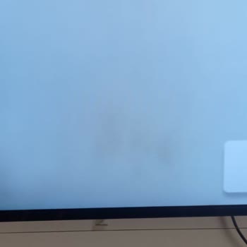 Sunny Televizyonumun Pişmanlığı Yaşıyorum