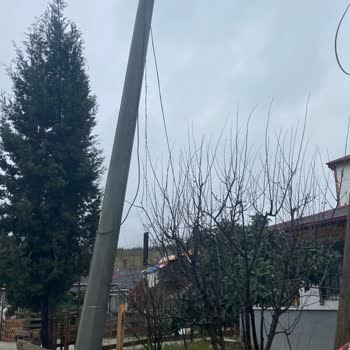Elektrik Direği Tehlikesi Ve UEDAŞ'a Acil Çağrı