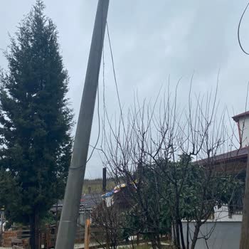 Elektrik Direği Tehlikesi Ve UEDAŞ'a Acil Çağrı