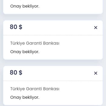 Kızıl Elmas Madencilik Ve Geri Dönüşüm Yatırımımın Peşinde